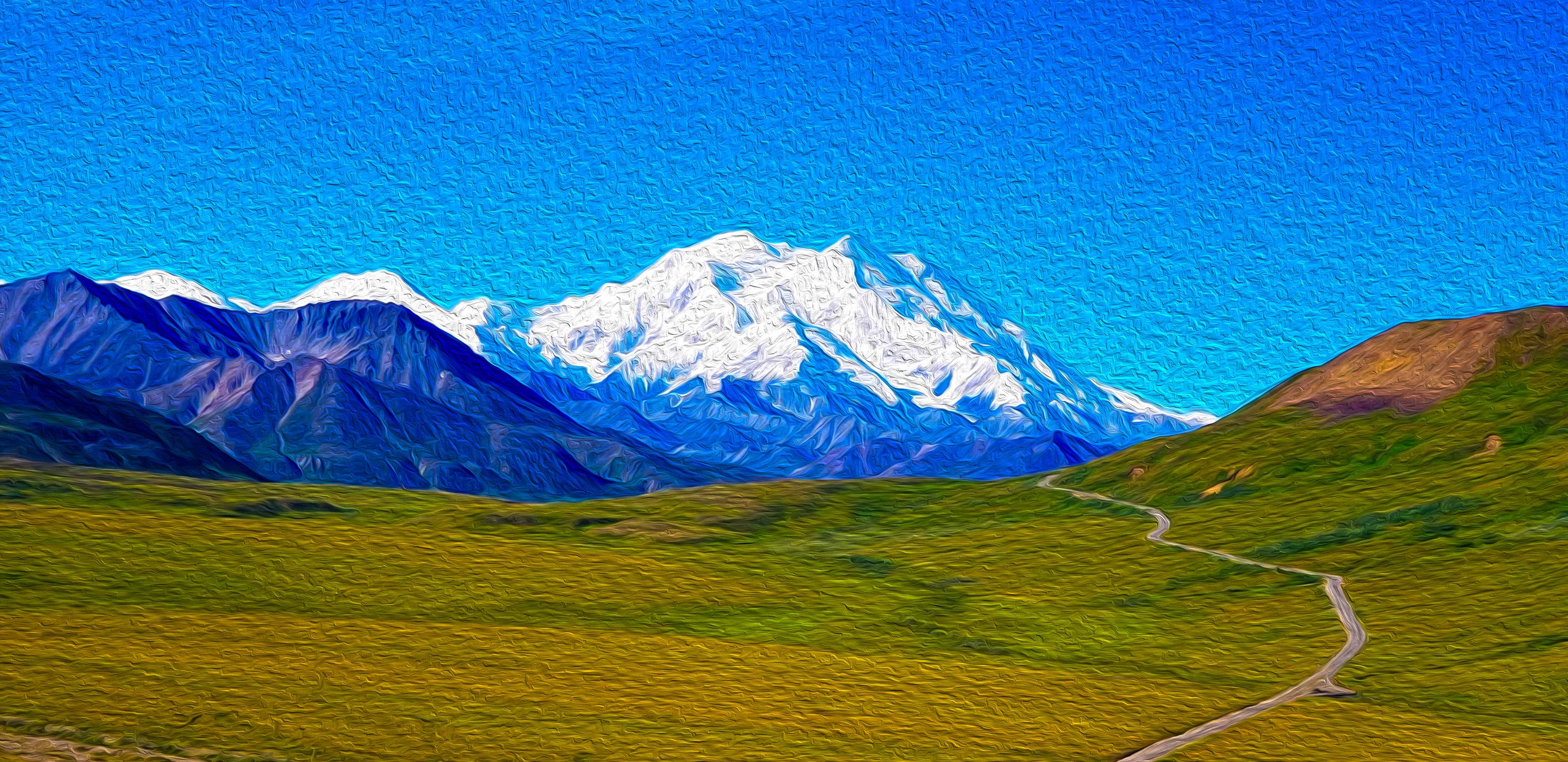 Denali Oil